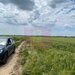 Teren 6,26 ha langa DEx12 Pitesti